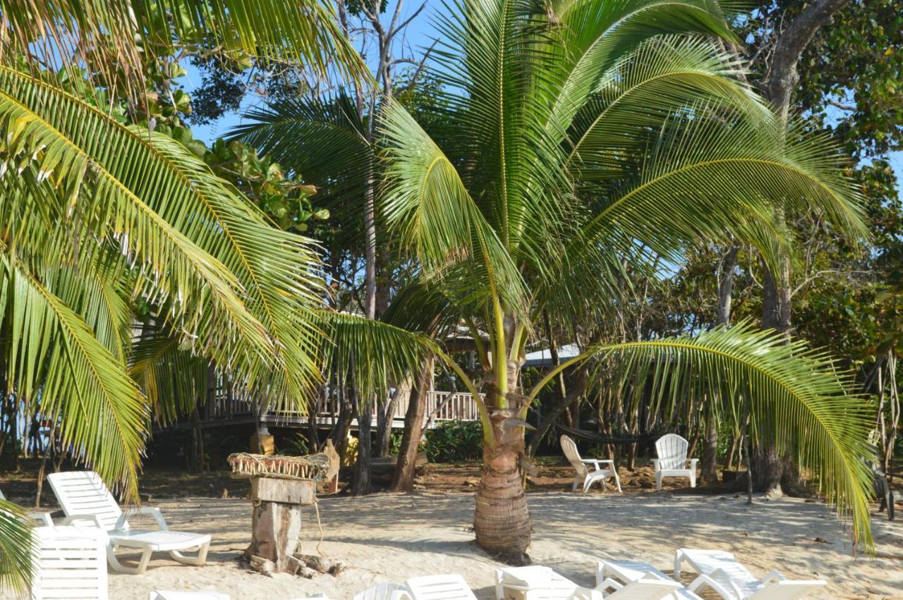 Sonny Island Resort Cabanas Frente Al Mar Punta Bajo Rico Bagian luar foto
